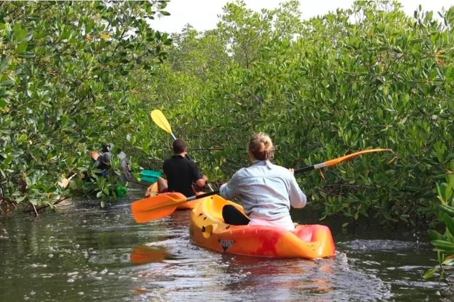 Excursion en kayak dans les mangroves à l'Hôtel Cap du Sine Saloum excursion pirogue sine saloum pirogue privee