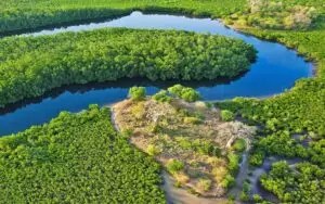 Excursion pirogue Sine Saloum vue aerienne mangroves delta